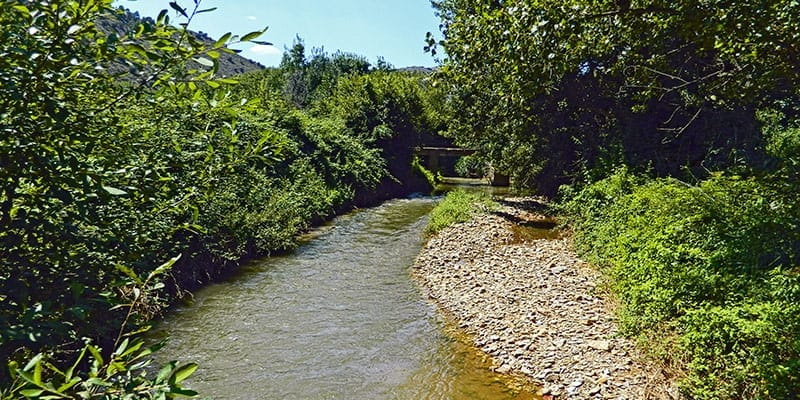 Naturaleza